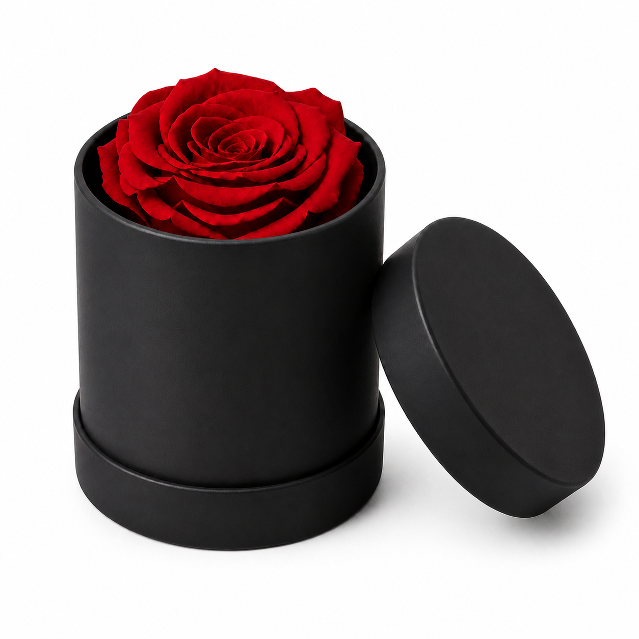 Baby Rose - Eternal Flower Gift Box